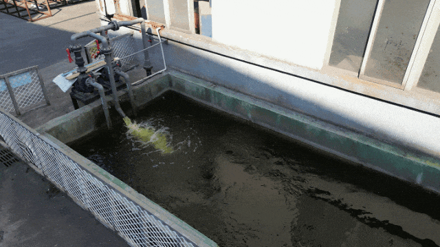 喜訊!中亞鋁業(yè)榮獲企業(yè)綠色品牌!(圖7) 喜訊!中亞鋁業(yè)榮獲企業(yè)綠色品牌!(圖7)